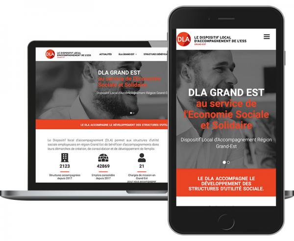 DLA Grand Est Création site web dynamique Responsive Design à Reims by Cyber Création